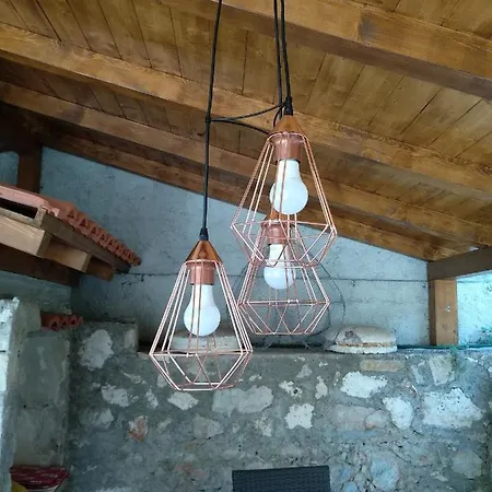Flora Susak
