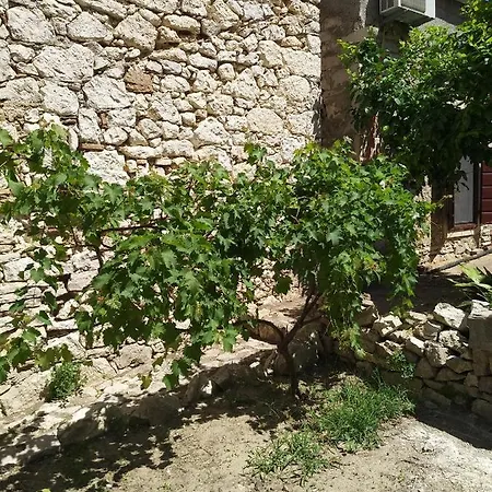 דירה Flora